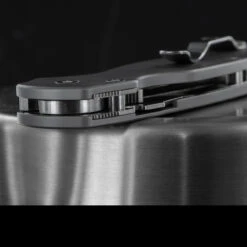 Titech Para Military 2 Plain Titanium Scales 8 Titech Para Military 2 Plain Titanium Scales -Outdoor Survival Store HH SC P P2 55758.1636458827